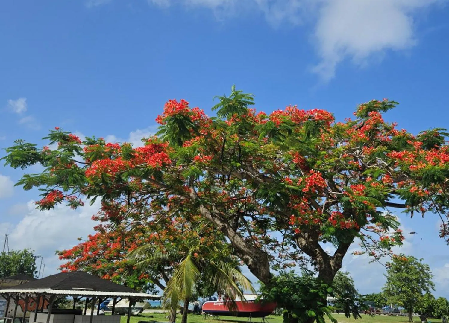 Gite Rubis Passion Port-Louis